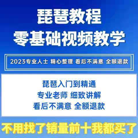 琵琶教学影片教程零基础初学入门自学琵琶入门到精通琵琶线上课程