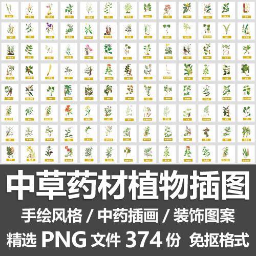 中草药材植物插图 手绘中医中药名称图鉴插画装饰图案PNG免抠素材