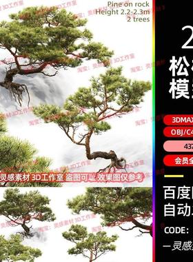 c4d松柏松树树木迎客松盆景树根3d模型fbx建模obj素材3dmax素材