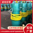2.2KWBQS防爆潜水泵供应产量2.2KWBQS防爆潜水泵规格类型