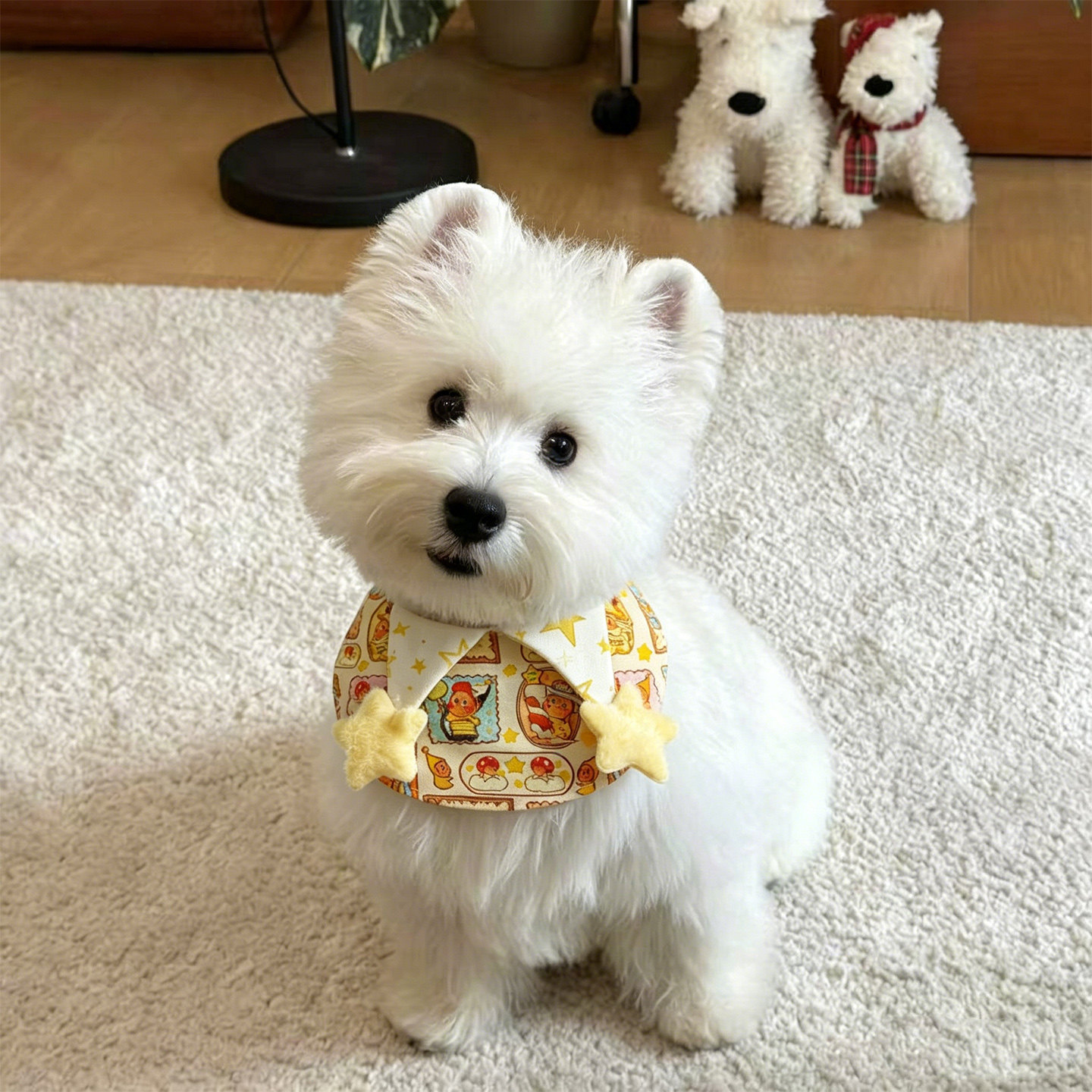 可爱宠物狗狗猫咪围脖围兜口水巾