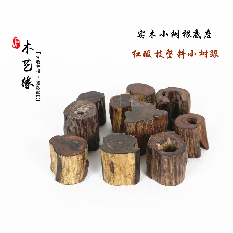 红酸枝整料小树根木料原木装饰品