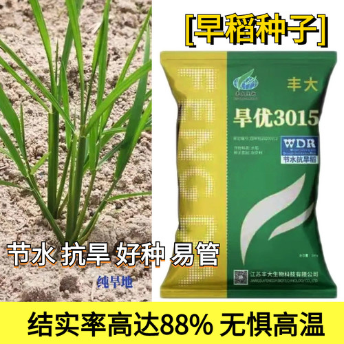 节水抗旱稻旱优3015水稻种子旱稻种子山地水稻旱稻大全