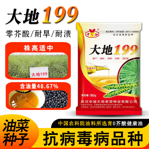 零芥酸油菜种子出油率高