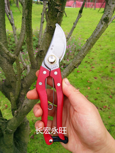 树枝剪刀家用果树省力摘果剪修枝剪刀园艺剪盆景弹簧桑剪果枝剪刀