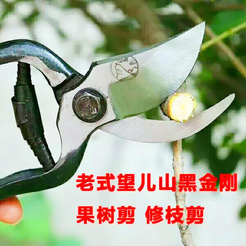 黑金刚古董辽宁望儿山包邮修枝剪