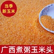 广西贵港玉米碎新货珍珠黄玉米头细小玉米糁渣粒农家粗粮玉米粥