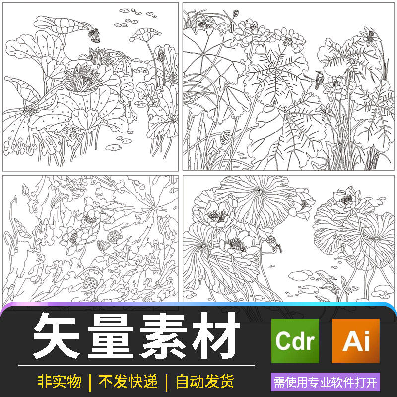 中式荷花矢量图19款植物花卉电子版无损放大儿童绘画模板装饰插画图片