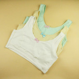 Pads pour soutien-gorge - Ref 820054 Image 40