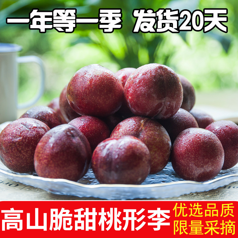 嵊州桃形李脆甜特产李子新鲜7月当季浙江高山脆甜红心李 顺丰包邮