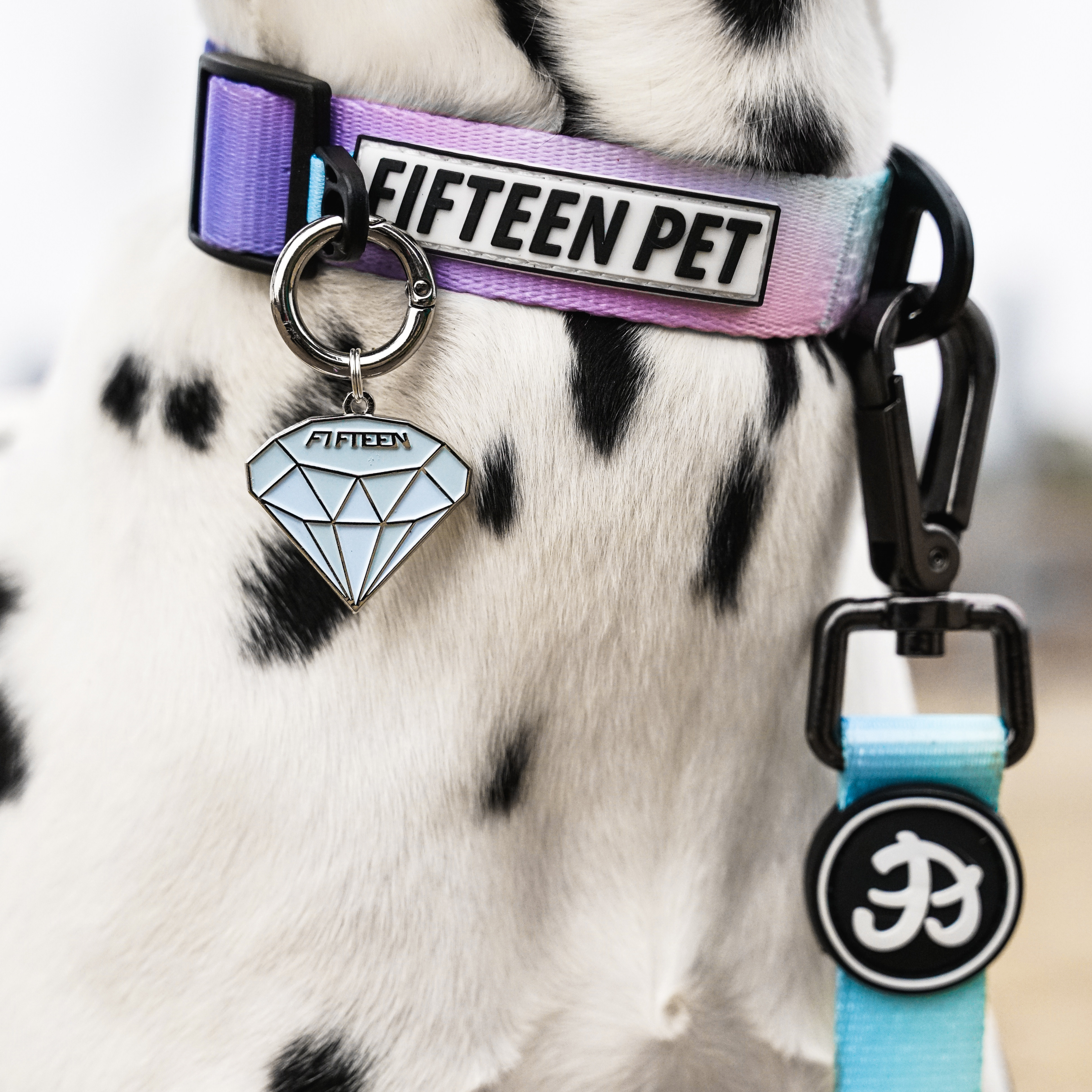 FIFTEENPET狗狗项圈四季通用款