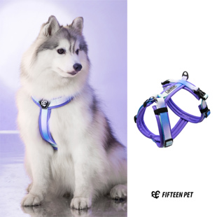 FIFTEEN 城市出行狗狗用品柯基 PET 宠物胸背工字背狗狗遛狗绳时尚