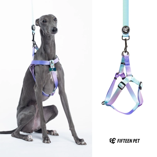 Пятнадцать домашних животных лучше бета -y -обработанные собаки -собаки гобу