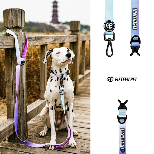 Пятнадцать договоров с домашними животными для домашних животных собак Туяние веревка собака собака поставляется модную талию, ходячие собачьи веревка