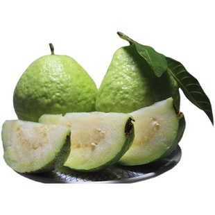 广西芭乐番石榴白心芭乐果潘石榴新鲜巴乐翻石榴低糖水果9斤 包邮