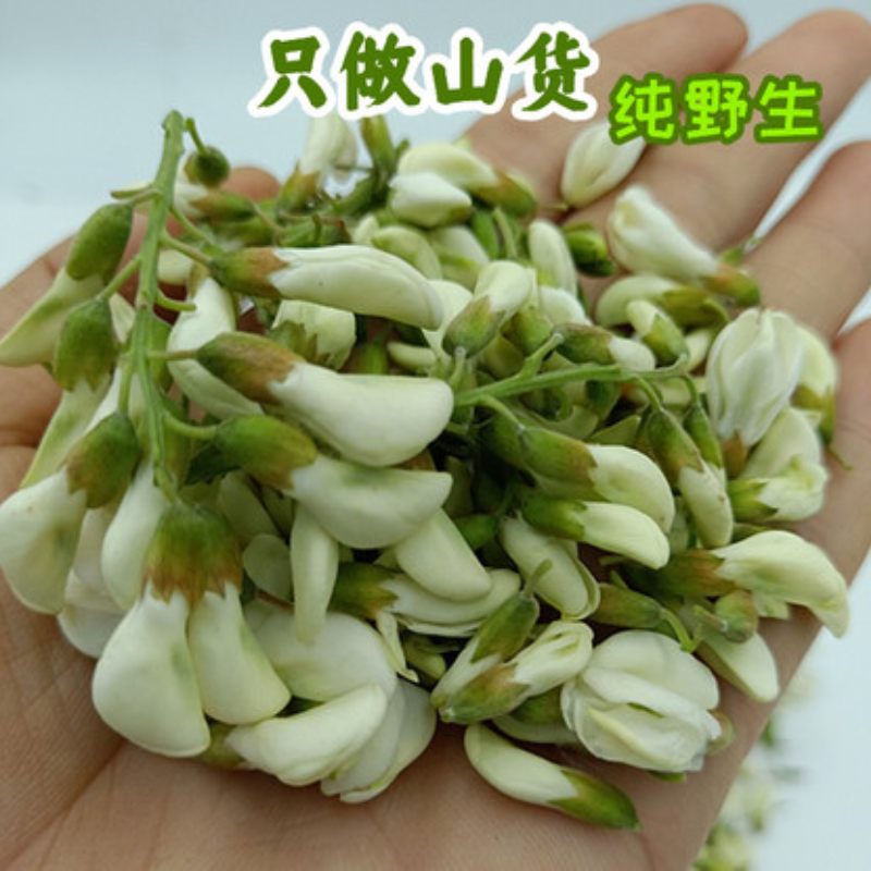 现摘洋槐花新鲜洋槐花野生山槐花刺槐杨槐树野生洋槐花花苞花骨朵