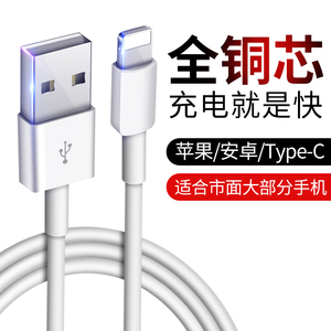 1元包邮 龙麟宫 安卓/Type-C/苹果数据线 1m