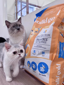 Solid Gold 素力高生鲜金素鸡升级进口全价高蛋白鲜肉猫粮5.44kg