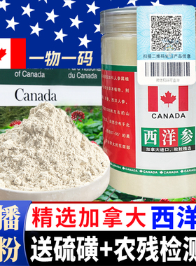 【加拿大西洋参】高档软支加拿大西洋参可切片可发整个可直播磨粉