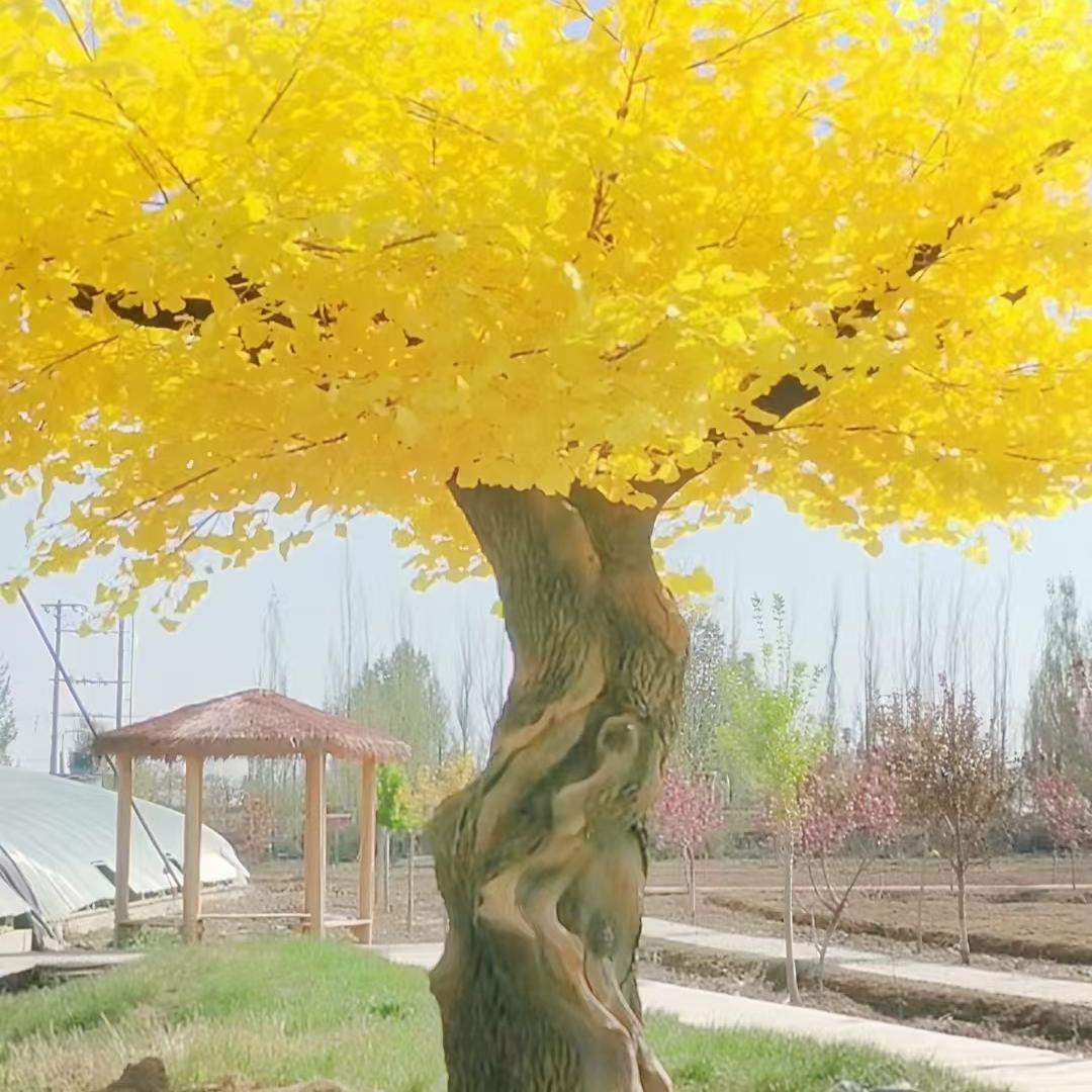 假树仿真树户外包柱子金色榕树桃花樱花树仿真树造景假树室内装饰