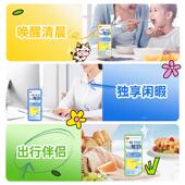 新货一杯轻酸奶原味常温芭乐风味发酵乳饮品礼盒儿童早餐牛奶