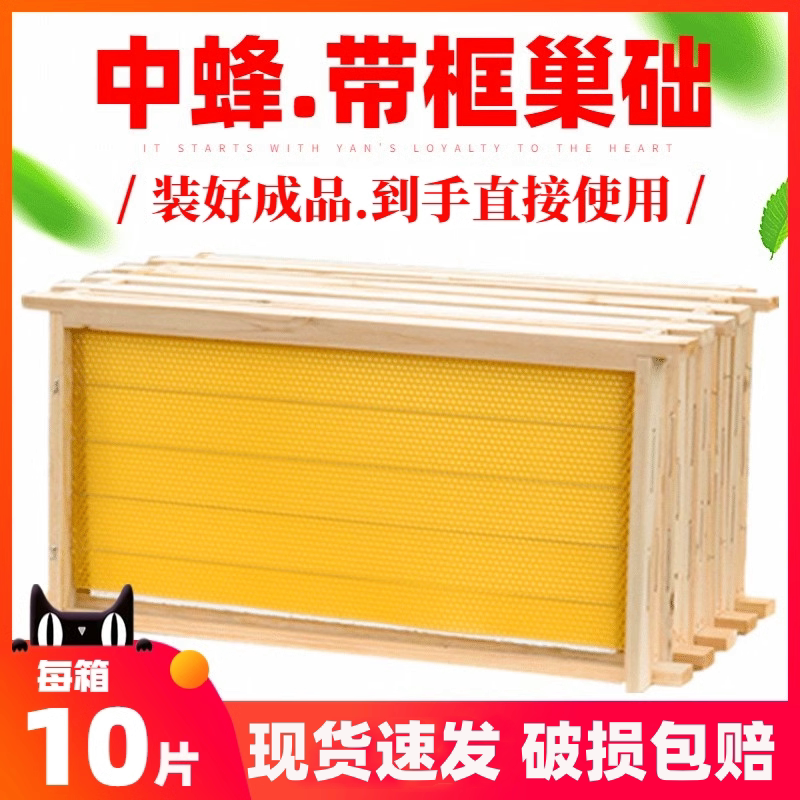 蜂巢蜜中蜂巢础巢框蜂巢八千巢础意蜂成品全套带框蜜蜂巢脾蜂箱养