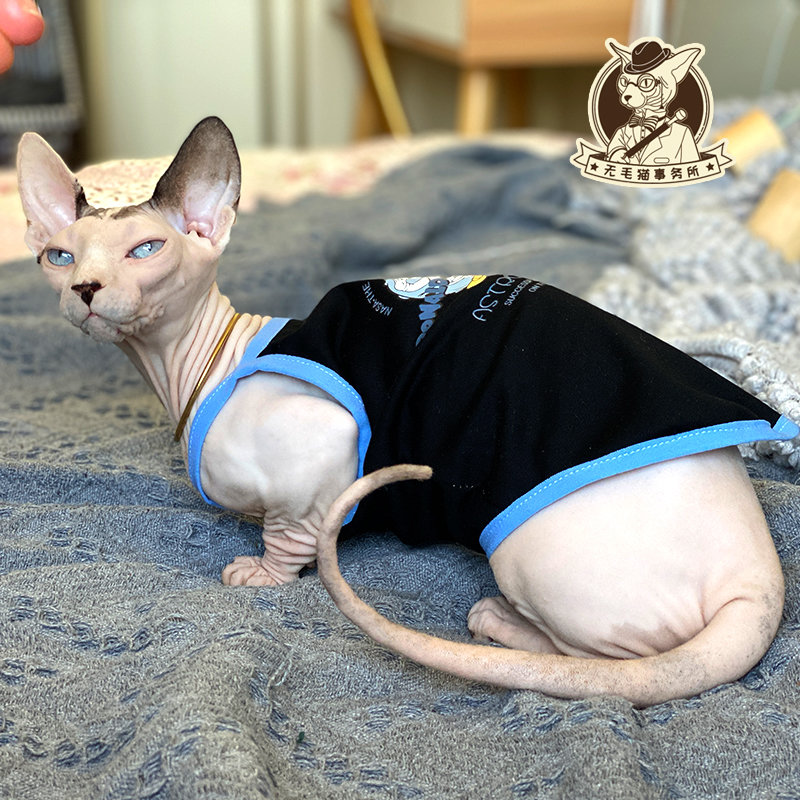 猫衣服夏季新款薄德文吊带背心