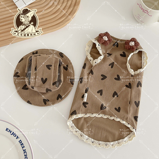 背心套装 无毛猫德文宠物小猫咪连衣裙可爱柔软蕾丝短袖 新款 25夏季