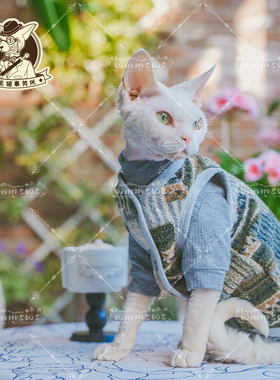 25年春季无毛猫德文宠物猫咪毛绒加厚保暖双面柔软云朵绒背心马甲