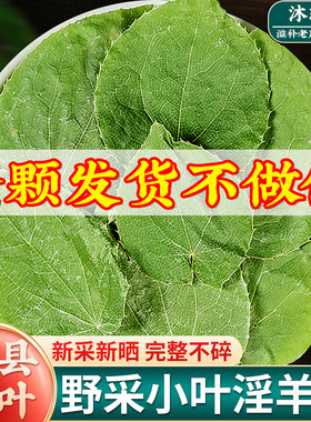 野生小叶淫羊藿中药材正品甘肃野生三枝九叶草泡水茶淫阳霍旗舰店