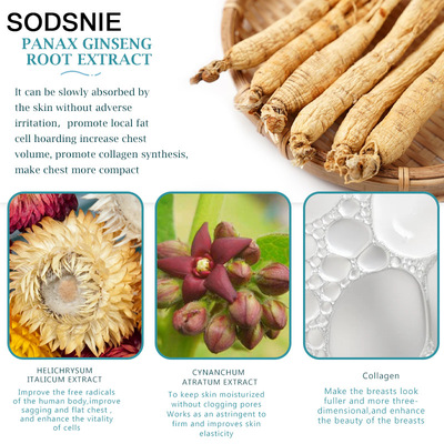 SODSNIE Breast Enhancement Cream 40G直供跨境