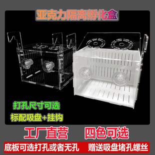 亚克力挂钩吸盘隔离盒繁殖箱孵化器异形黑色白色透明三湖慈鲷乌龟
