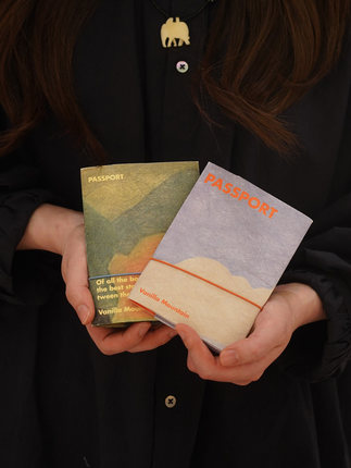 VM香草山 在路上 原创设计护照夹杜邦纸保护套收纳包卡包钱包旅行