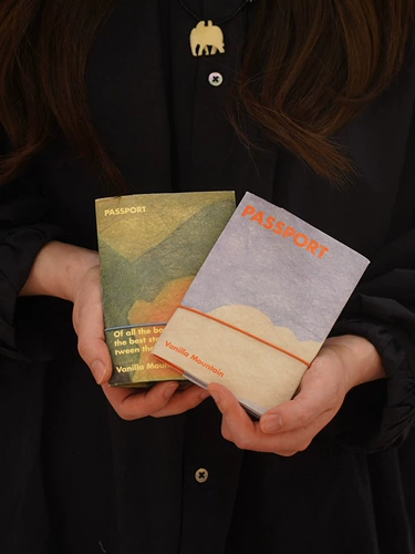 VM香草山 在路上 原创设计护照夹杜邦纸保护套收纳包卡包钱包旅行