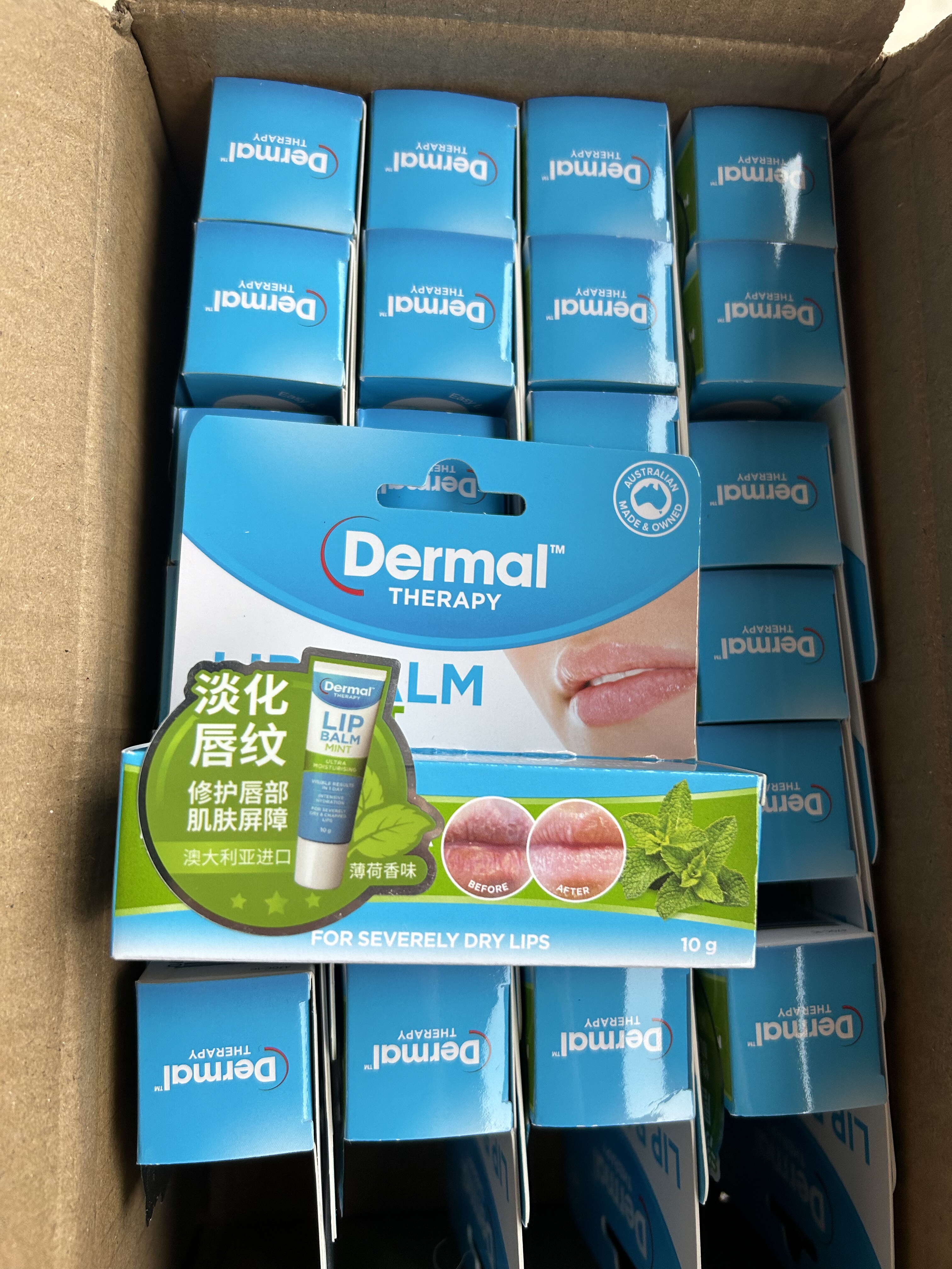 Dermal THERAPY乐慕康薄荷润唇膏10g