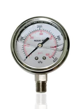 供全不锈钢压力表耐震注油充液304径向立装YNBF604000kPa1/4NPT