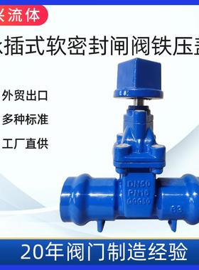 CZ45X承插式软密封闸阀PVC管手动调节DN110厂家直销