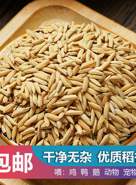 带壳喂鸡鸭鹅便宜批发稻谷粮食