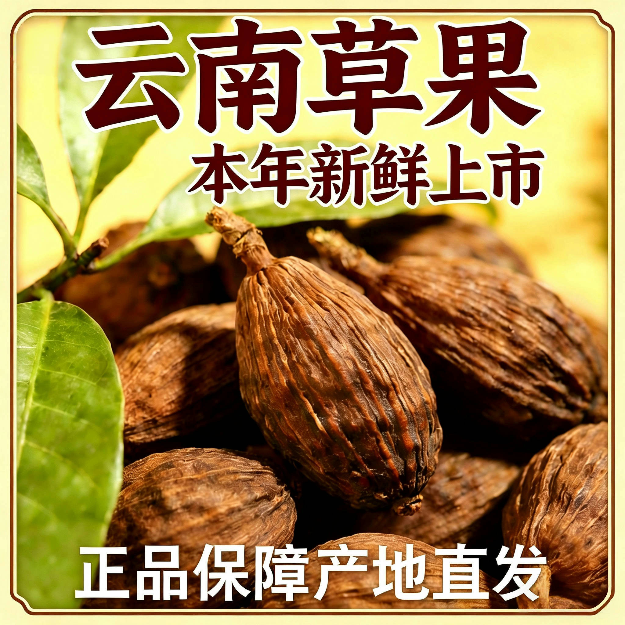 新货云南草果干货500g全干香浓无硫厨房香料卤味调料去腥解腻包邮