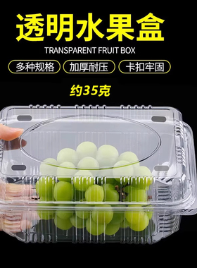 1000H两斤装钉扣盒一次性塑料透明带盖水果包装盒番茄阳光玫瑰盒