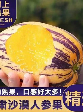 顺丰甘肃民勤沙漠人参果新鲜水果
