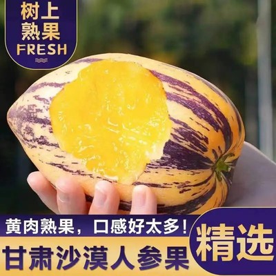 甘肃民勤沙漠人参果新鲜水果