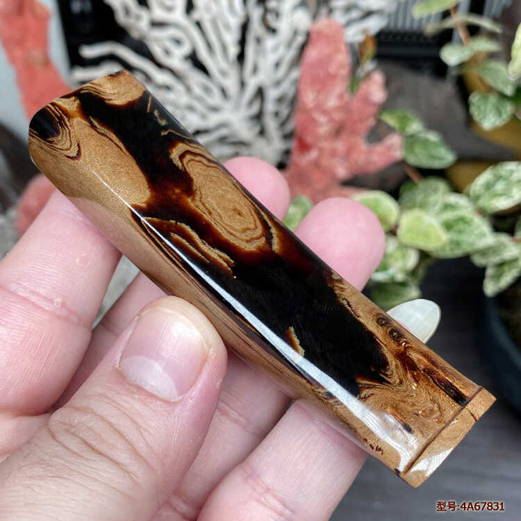 天然海柳活性碳循环双重过滤器