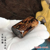 天然保真血柳活柳黑珊瑚海柳文玩摆件手捻挂件家居自然手把玩 包邮