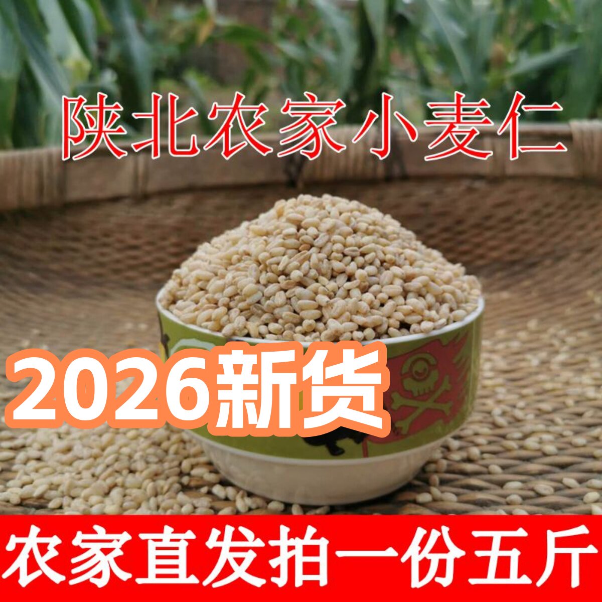 麦仁陕西农家自产陕北自产农家去皮小麦粗粮食五谷杂粮粥5斤