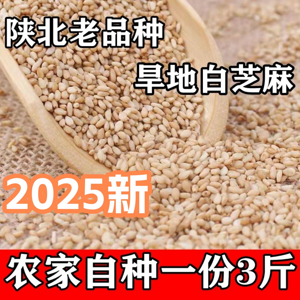 3斤白芝麻 陕北旱地农家自种干净无沙生油芝麻老品种新芝麻仁