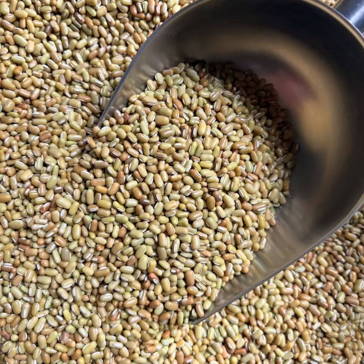 米豆农家自产竹豆新货5斤煲汤小豆子懒豆酸菜烩饭豆眉豆江豆巴豆