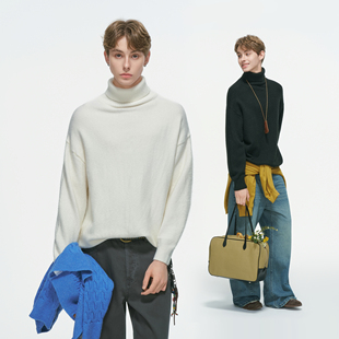 Dream made极简高领毛衣男款秋冬季加厚男生打底内搭北极绒针织衫