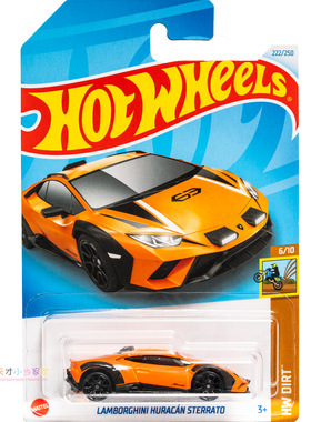 222号 LAMBORGHINI HURACAN STERRATO 兰博基尼 橙色 风火轮 HW D