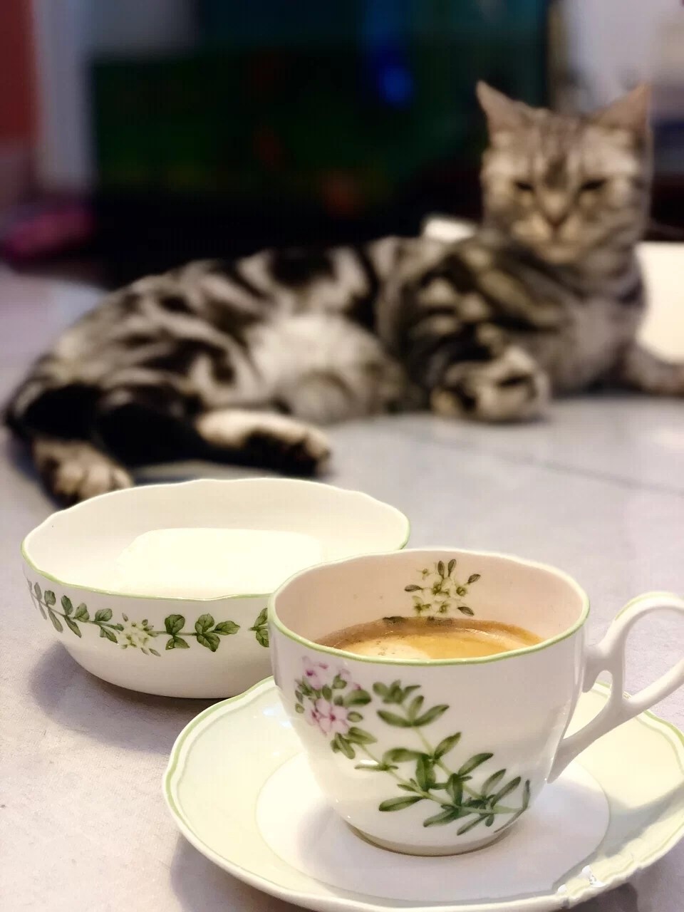 日本Noritake则武EnglishHerbs香草小清新茶壶茶杯咖啡杯碟礼盒装